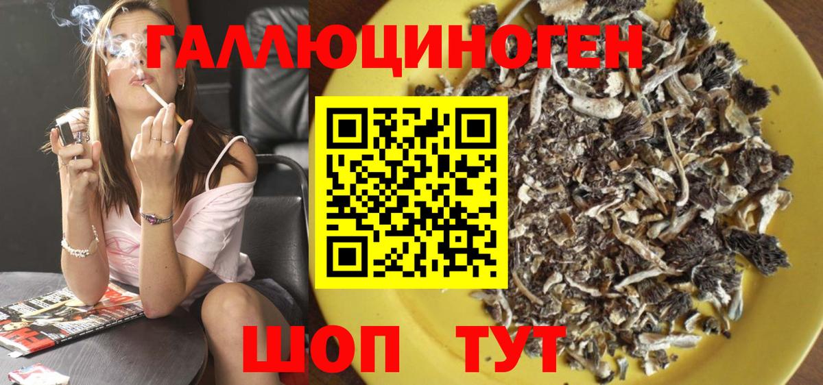 Псилоцибиновые грибы мицелий  где найти   Волхов  Вход с VPN  Псилоцибиновые грибы мицелий 
